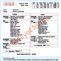 Kolay Kullanımlı PackPrintAi ve Dijital